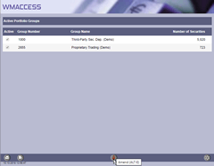 Administration of active portfolio groups: Maintenance of the active portfolio groups by clicking on the button 'amend'.