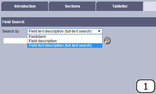 Full text search with wildcard characters